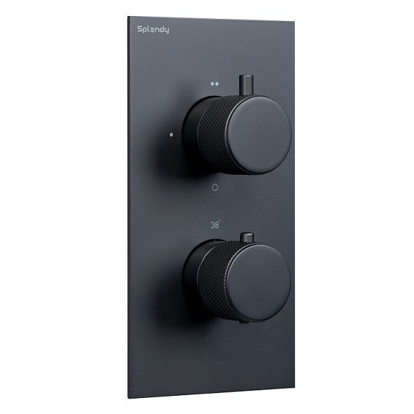 Смеситель для душа Splendy Passion на 2 потребителя черный матовый (PA204U2T2BM)