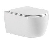 AQ1106-00 ЕВРОПА Унитаз подвесной безободковый 490*360*250мм, тонкое сиденье с механизмом плавного закрывания, крепеж