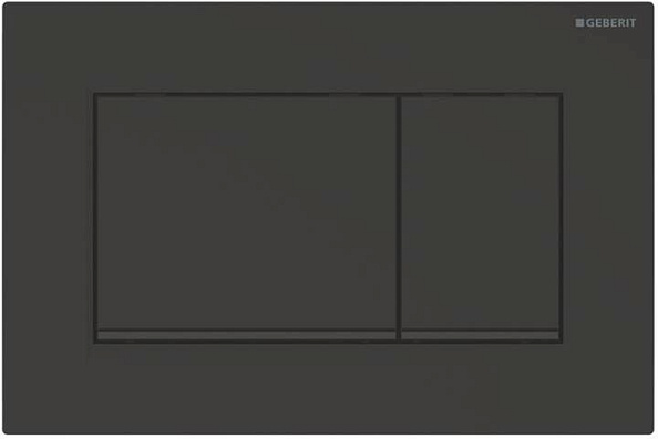 Смывная клавиша Geberit Sigma 30 (115.883.16.1) (матовый черный лак)