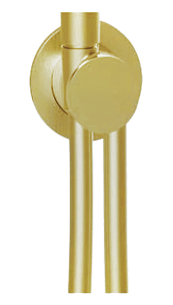Шланговое подсоединение Almar Showers Accessories с держателем и шлангом, High Brass Brushed PVD (E192000.HB)
