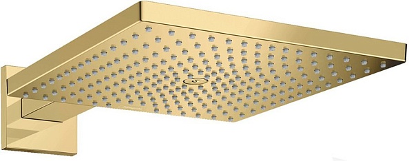 Верхний душ с держателем Hansgrohe Raindance E 300 1jet 26238990 золото