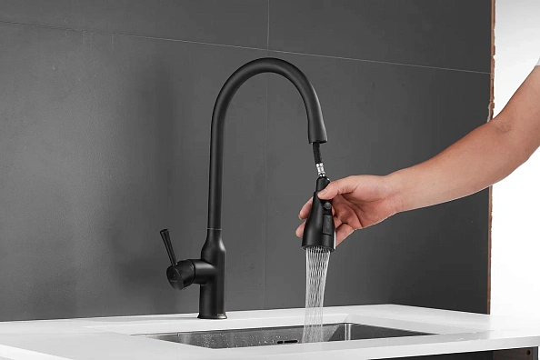 Смеситель для кухни с выдвижным изливом Shevanik S163H, черный