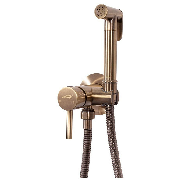 Гигиенический душ со смесителем встраиваемый Hansberge H3099BR, бронза