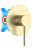 AQ1366BG ЕВРОПА смеситель для душа 1 режим (внешняя и скрытая часть), шлиф. золото