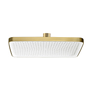 Лейка душевая верхняя Raglo R451.52.03 тропический душ 340*220мм пластик/силикон, сатин золотой