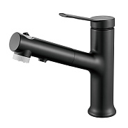 Смеситель для раковины многофункциональный Raffine F281H, черный