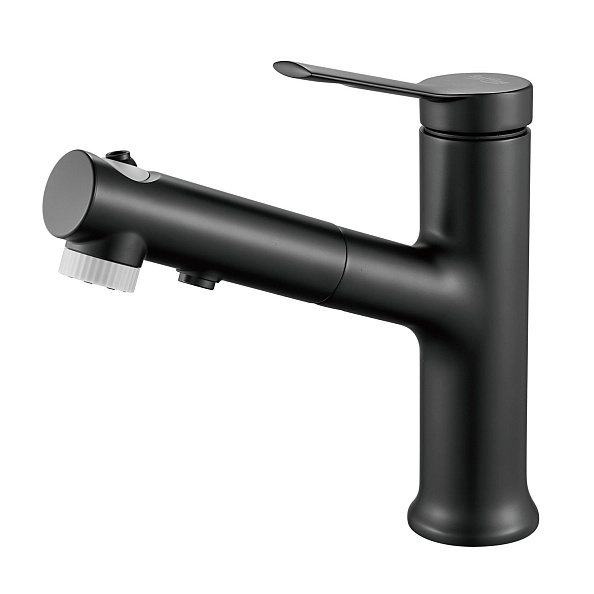 Смеситель для раковины многофункциональный Raffine F281H, черный