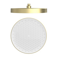 Лейка верхняя Raglo R452.09.03 для душа ∅320мм 1 режим круглая пластик/силикон, сатин золотой