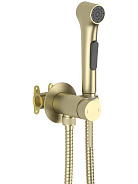 AQ1020BG ЕВРОПА комплект для гигиенического душа встроенный (смеситель + гигиеническая лейка + шланг), шлиф. золото