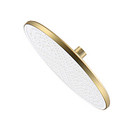 Лейка душевая верхняя Raglo R451.50.03 тропический душ ∅250мм пластик/силикон, сатин золотой