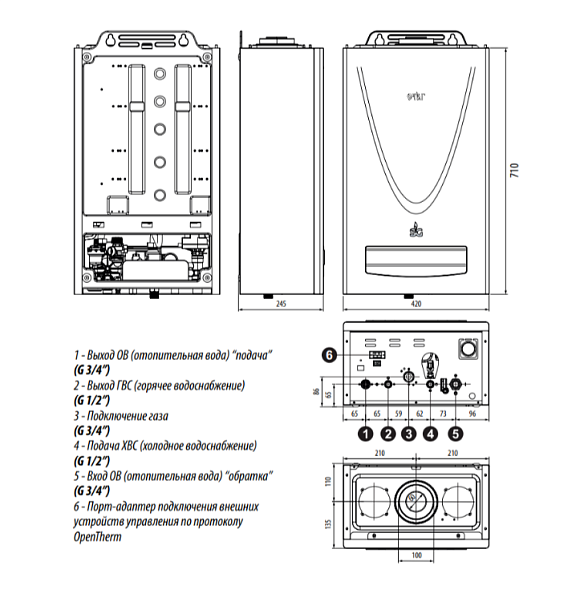 Газовый настенный котел Очаг 20 Е