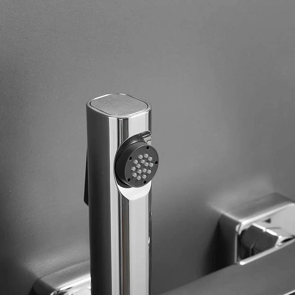 Гигиенический душ со смесителем Shevanik S6805-1, хром