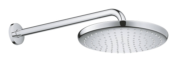 Душ верхний вид струи Grohe Tempesta 250 1, хром / белый (26668000)