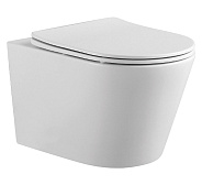 AQ1905-00 ВЕГА Унитаз подвесной безободковый 525*360*320мм, тонкое сиденье с механизмом плавного закрывания, крепеж