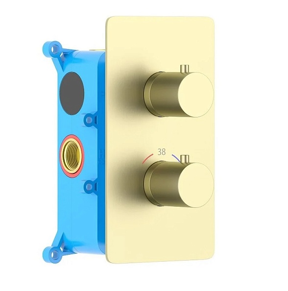 AQ1391BG ЕВРОПА термостатический смеситель для душа (внешняя и скрытая часть), шлиф. золото