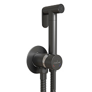 Смеситель с гигиенической лейкой 25k MIXLINE МЛ31-081Г(ML31-081GR) "Рей" встраиваемый ГРАФИТ (556670)