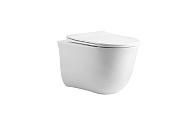 AQ1112T-00 КЛАССИК Унитаз подвесной компакт TORNADO 490*365*341