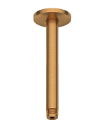 Держатель верхнего душа Duravit бронза брашированная (UV0670025004)