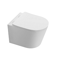 AQ1580T-00 ТАУРУС Унитаз подвесной TORNADO безободковый 520*360*320, тонкое сиденье с механизмом плавного закрывания, крепеж