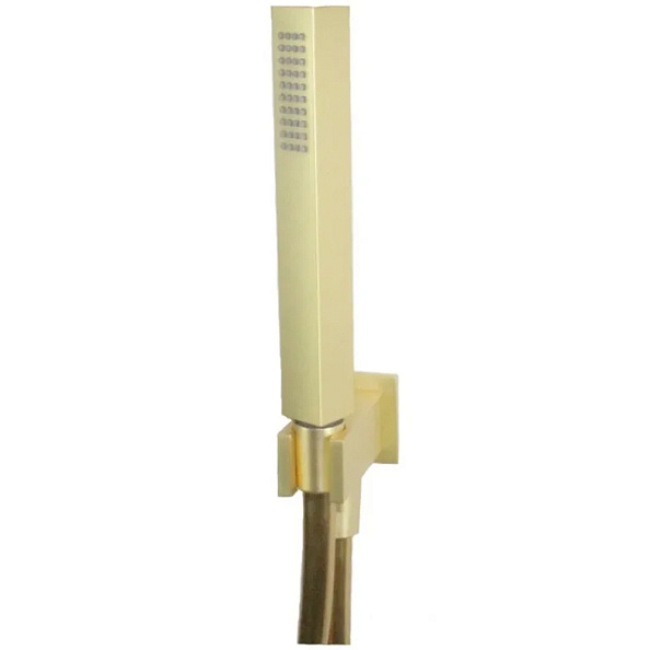 Душевой гарнитур Webert Shower Set AC1045794, матовое золото