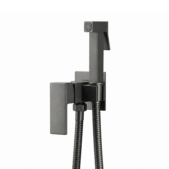 Гигиенический душ со смесителем FRAP F7506-9, оружейная сталь