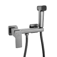 Гигиенический душ со смесителем Rose R2805T-1, оружейная сталь