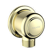 AQ2461PG КЛАССИК шланговое подсоединение, полир. золото