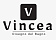 Vincea (Италия-Китай)