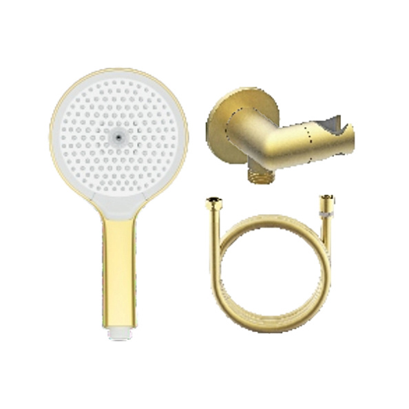 Лейка для душа с держателем (с подключением шланга) и шлангом Raglo R476.42.03, золотой сатин