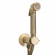 Гигиенический душ с прогрессивным смесителем Bossini Nikita бронза (E37008.022)