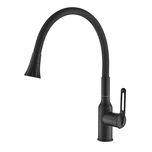 Смеситель для кухни с гибким изливом Raffine F303H-3, черный