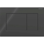 115.660.DW.1 Смывная клавиша Geberit Sigma01 для двойного смыва, квадратная: Пластик/Чёрный