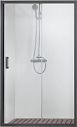 AQ ARI RA 10020BL Душевая дверь двухэлементная AQUATEK, раздвижная1000x2000 профиль черный, стекло прозрачное