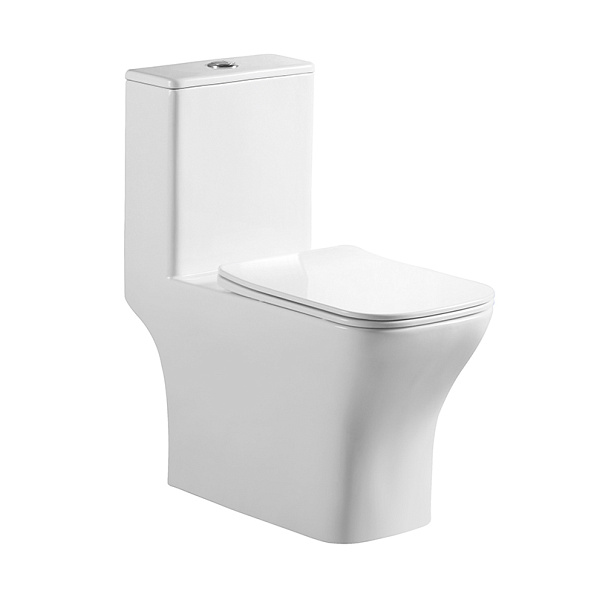 Унитаз-моноблок BelBagno Neon, белый (BB8617CPR-MN/SC)